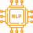 Natural Language Processing (NLP)